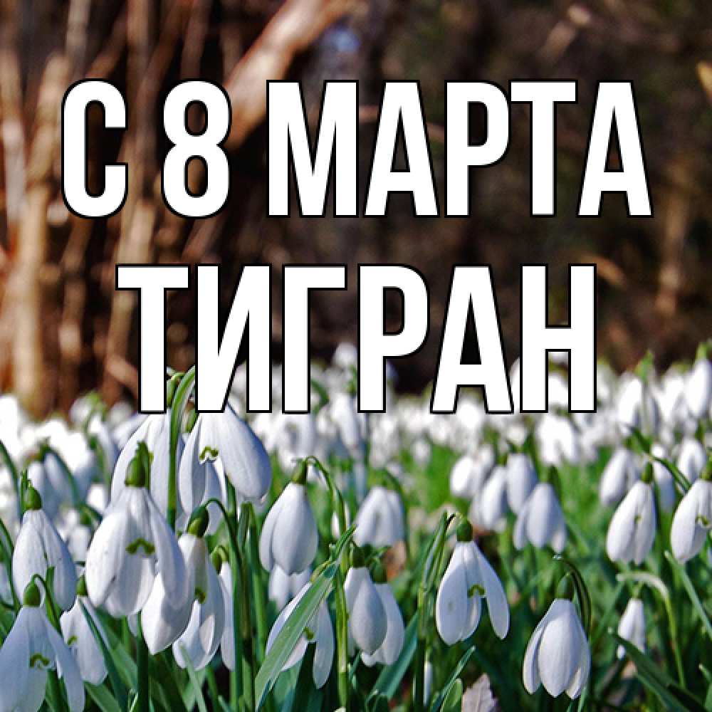 Открытка на каждый день с именем, Тигран C 8 МАРТА с подснежниками 1 Прикольная открытка с пожеланием онлайн скачать бесплатно 