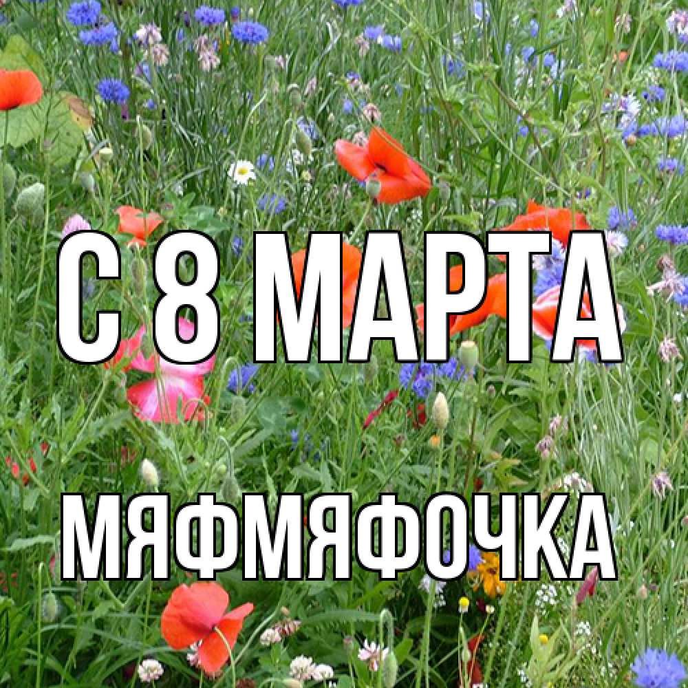 Открытка на каждый день с именем, мяфмяфочка C 8 МАРТА международный женский день 4 Прикольная открытка с пожеланием онлайн скачать бесплатно 