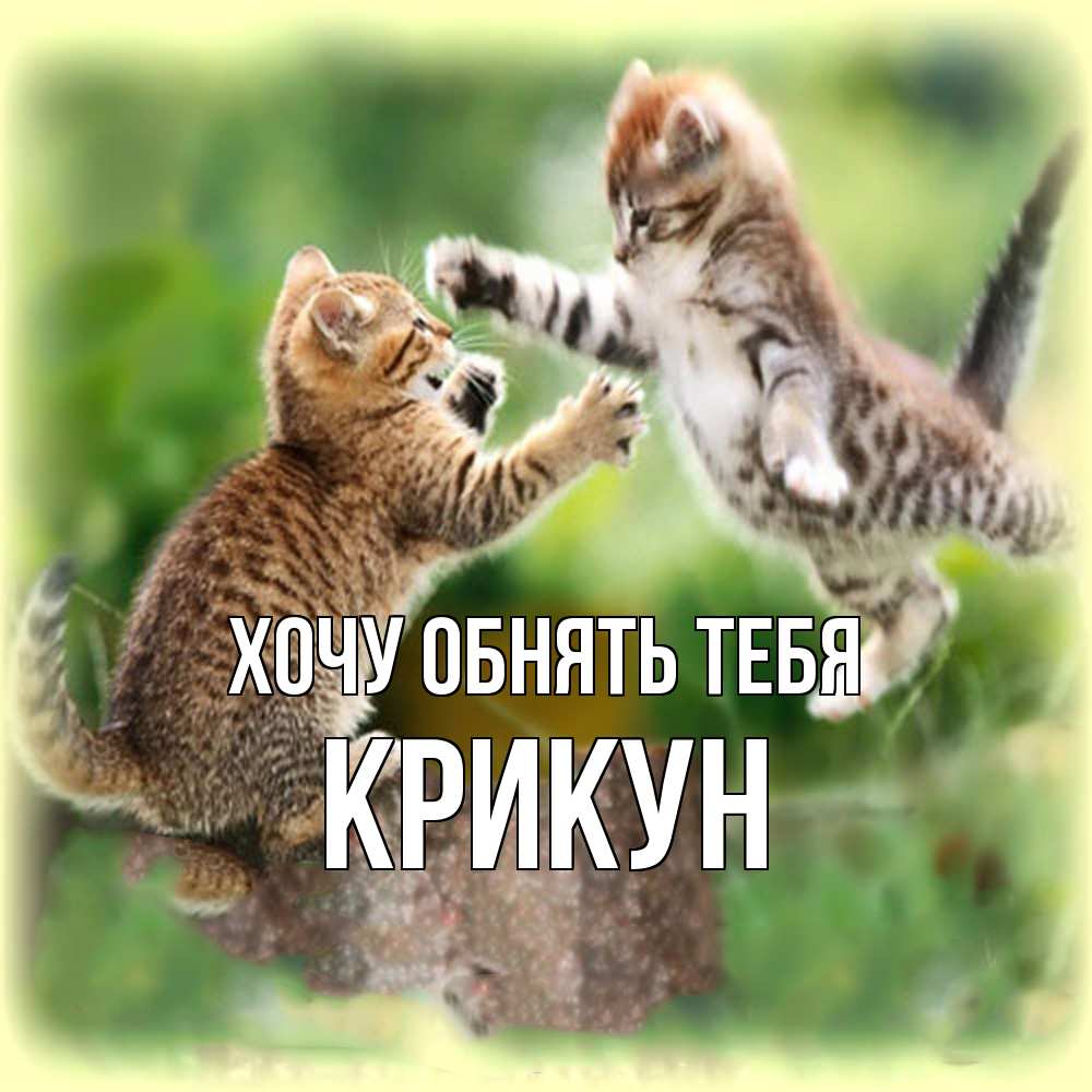 Открытка на каждый день с именем, Крикун Хочу обнять тебя игры котят Прикольная открытка с пожеланием онлайн скачать бесплатно 