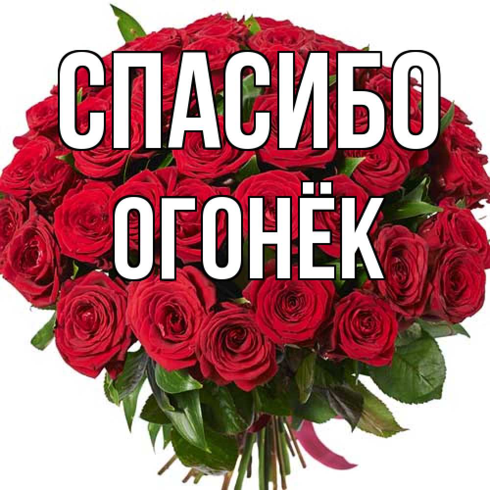 Открытка на каждый день с именем, Огонёк Спасибо букет красных роз Прикольная открытка с пожеланием онлайн скачать бесплатно 