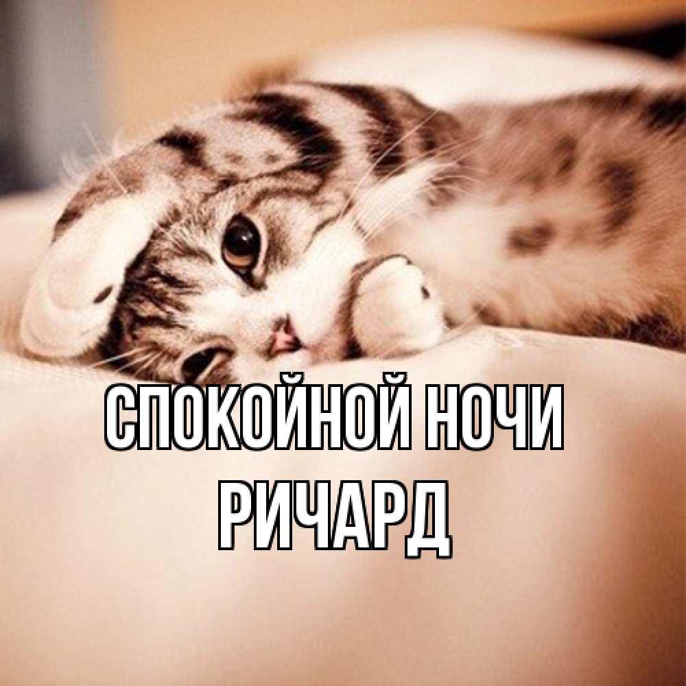 Открытка на каждый день с именем, Ричард Спокойной ночи сладких снов с животными Прикольная открытка с пожеланием онлайн скачать бесплатно 