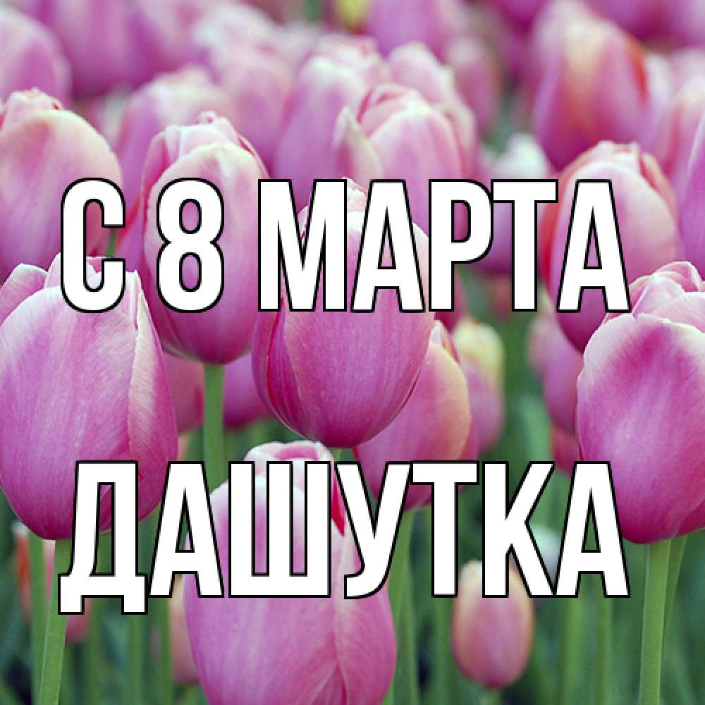 Открытка на каждый день с именем, Дашутка C 8 МАРТА на международный женский день 3 Прикольная открытка с пожеланием онлайн скачать бесплатно 