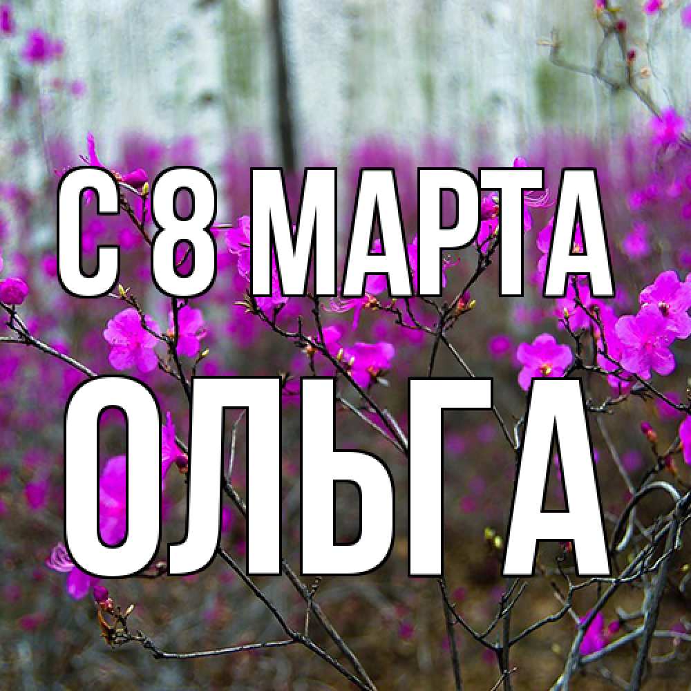 Открытка на каждый день с именем, Ольга C 8 МАРТА дикие цветы Прикольная открытка с пожеланием онлайн скачать бесплатно 
