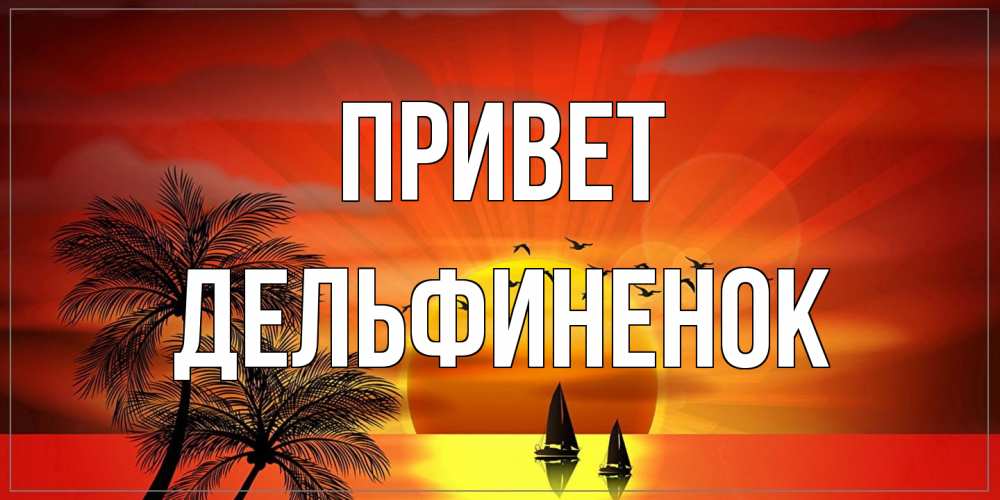 Открытка на каждый день с именем, дельфиненок Привет привет Прикольная открытка с пожеланием онлайн скачать бесплатно 