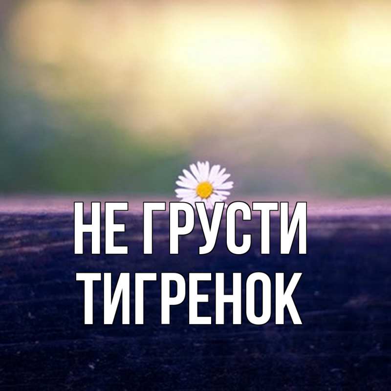 Картинка Не грусти, Тигpенок