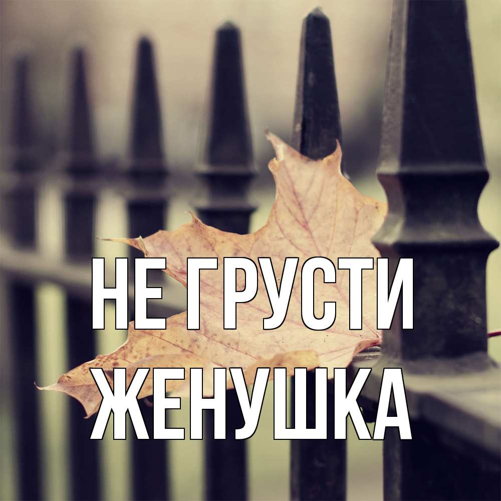 Открытка на каждый день с именем, женушка Не грусти лист клена Прикольная открытка с пожеланием онлайн скачать бесплатно 