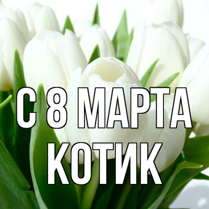Картинка C 8 МАРТА, Котик