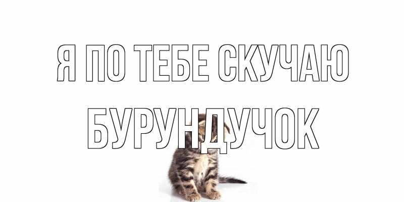 Картинка Я по тебе скучаю, бурундучок