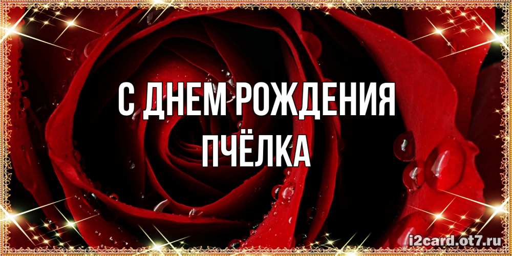 Открытка на каждый день с именем, Пчёлка С днем рождения цветок в росе на день рождения Прикольная открытка с пожеланием онлайн скачать бесплатно 