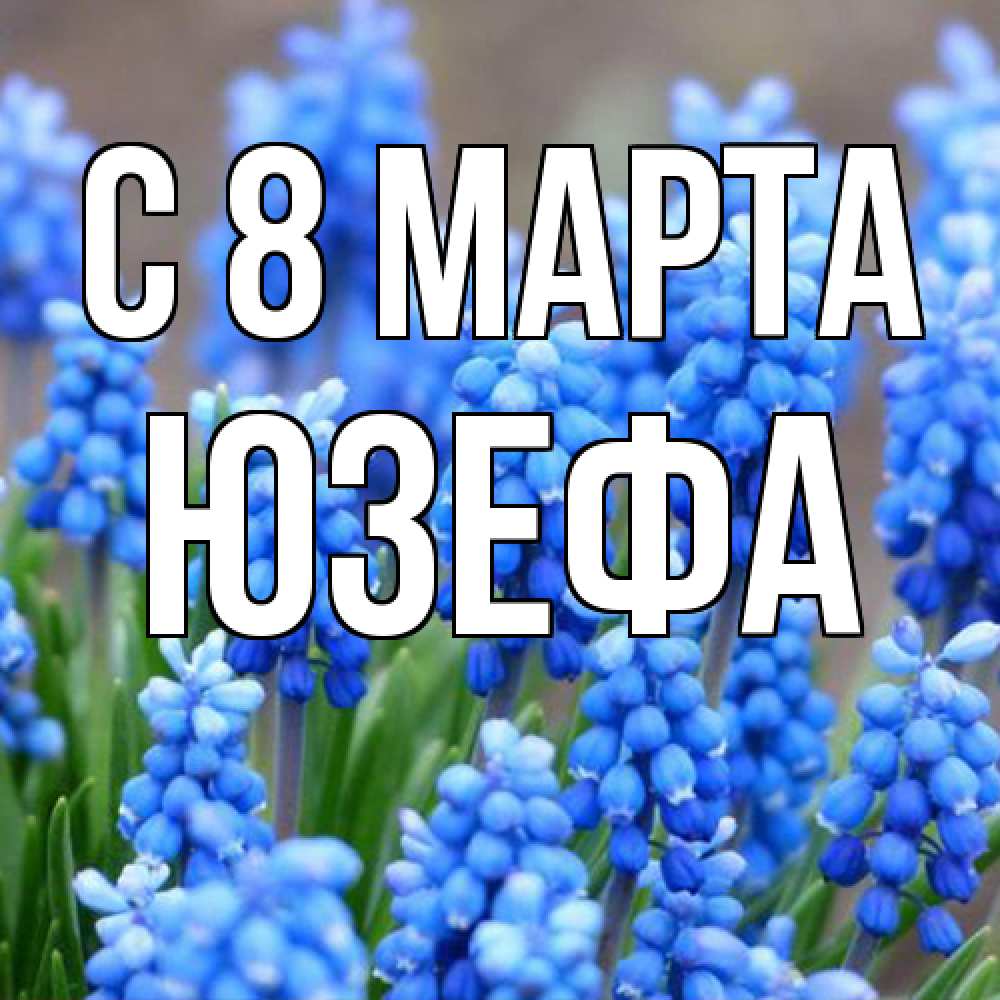 Открытка на каждый день с именем, Юзефа C 8 МАРТА Поздравительная открытка для женщин с цветами на праздничную дату Прикольная открытка с пожеланием онлайн скачать бесплатно 