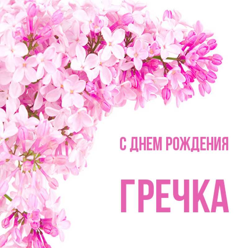 Картинка С днем рождения, Гречка