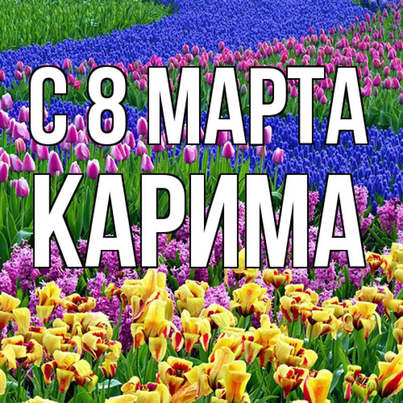 Картинка C 8 МАРТА, Карима
