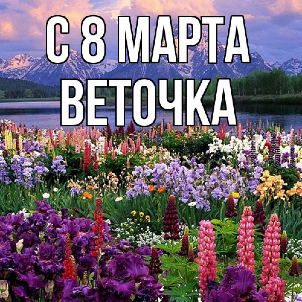 Открытка на каждый день с именем, Веточка C 8 МАРТА международный женский день Прикольная открытка с пожеланием онлайн скачать бесплатно 