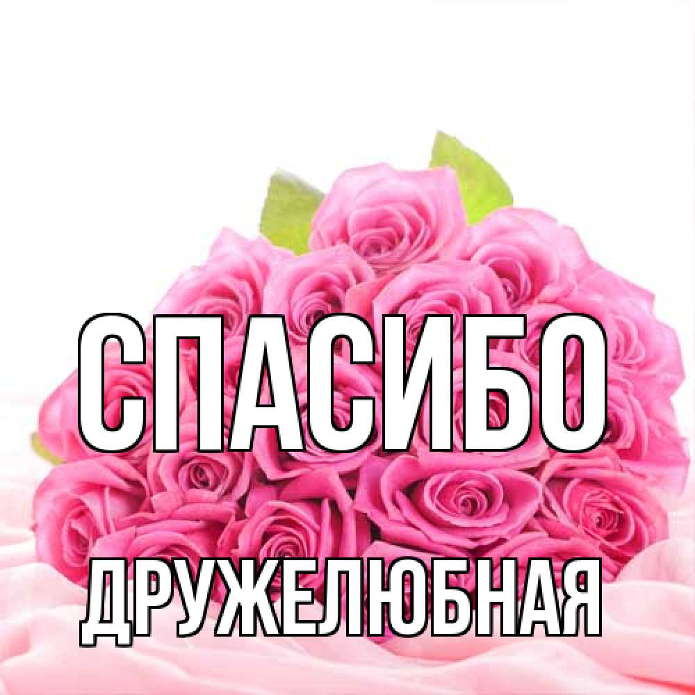 Открытка на каждый день с именем, Дружелюбная Спасибо розовые розы с подписью Прикольная открытка с пожеланием онлайн скачать бесплатно 