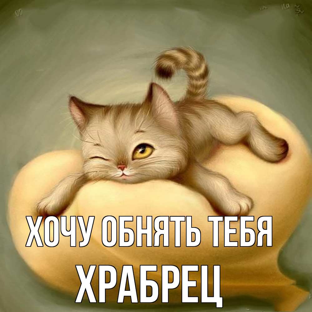 Открытка на каждый день с именем, Храбрец Хочу обнять тебя кошечка Прикольная открытка с пожеланием онлайн скачать бесплатно 