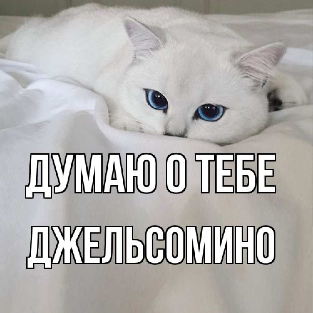 Открытка на каждый день с именем, Джельсомино Думаю о тебе я очень по тебе скучаю и тоскую Прикольная открытка с пожеланием онлайн скачать бесплатно 