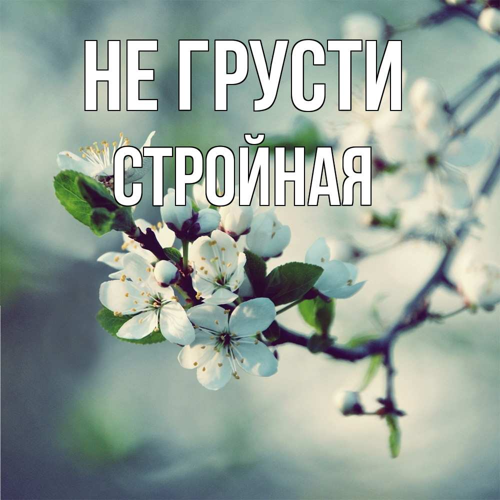 Открытка на каждый день с именем, Стpойная Не грусти яблоня в цвету 1 Прикольная открытка с пожеланием онлайн скачать бесплатно 