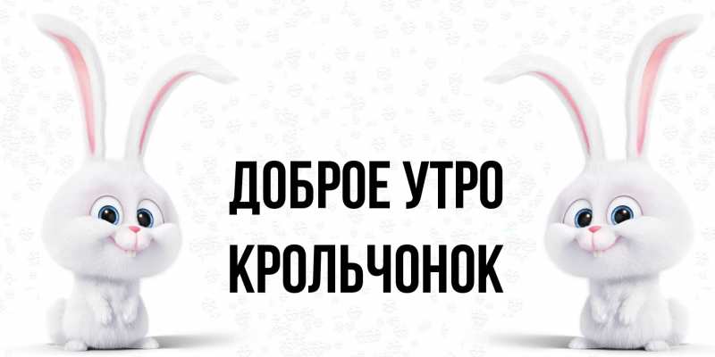 Картинка Доброе утро, Крольчонок