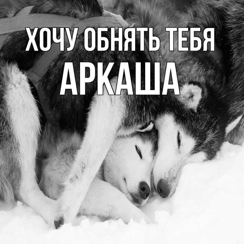 Картинка Хочу обнять тебя, Аркаша