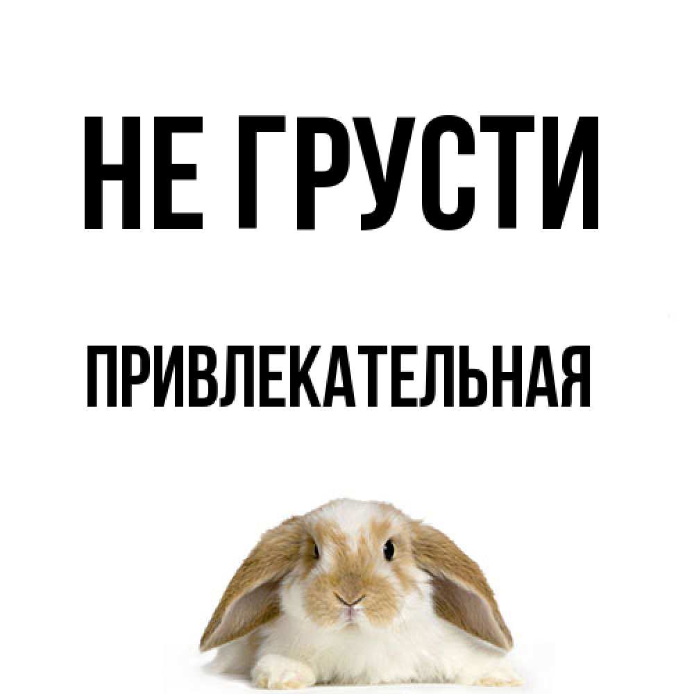 Открытка на каждый день с именем, привлекательная Не грусти коричнево белый заяц с большими ушками Прикольная открытка с пожеланием онлайн скачать бесплатно 