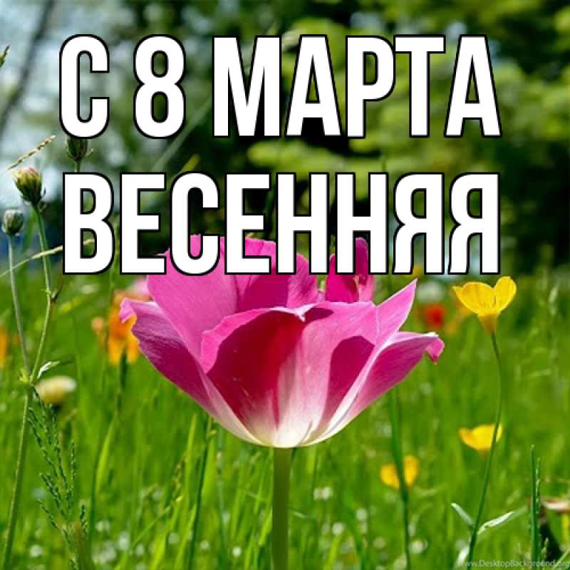 Картинка C 8 МАРТА, Весенняя