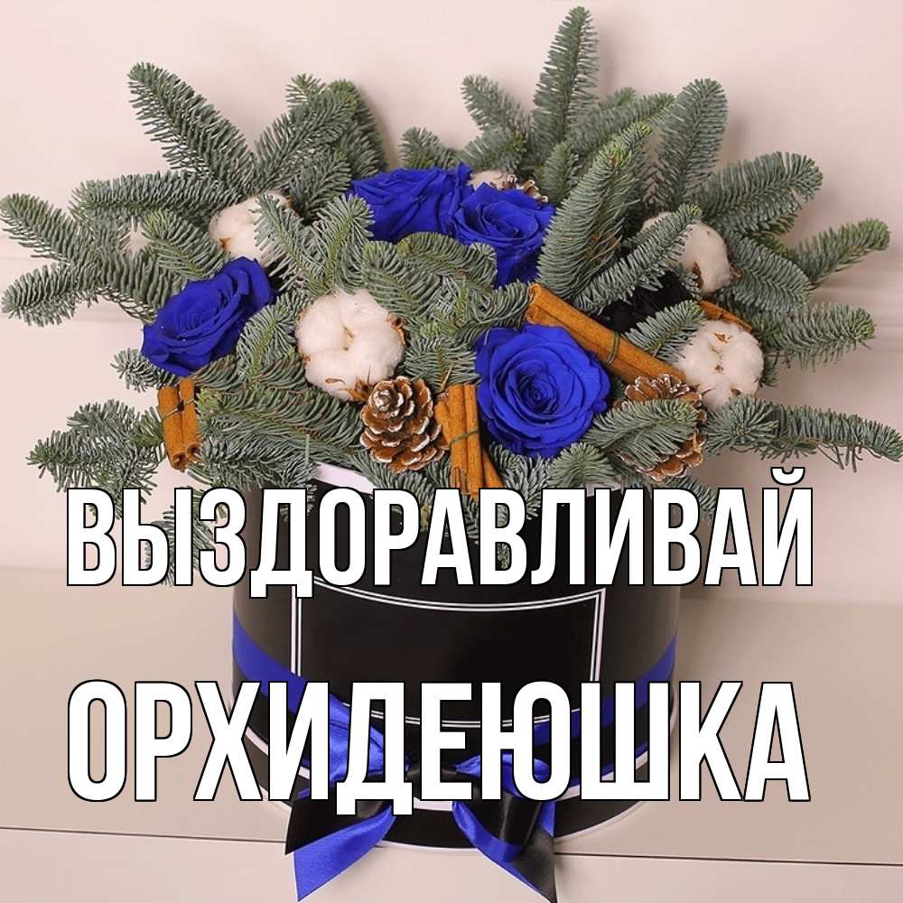 Открытка на каждый день с именем, Орхидеюшка Выздоравливай короче кто то загрузил эти шишки Прикольная открытка с пожеланием онлайн скачать бесплатно 
