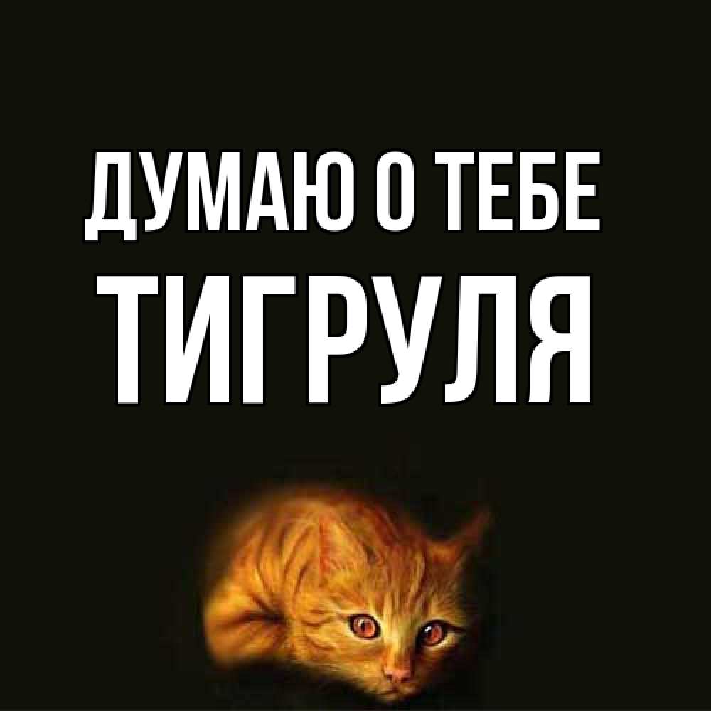 Открытка на каждый день с именем, Тигpуля Думаю о тебе рыжий Прикольная открытка с пожеланием онлайн скачать бесплатно 