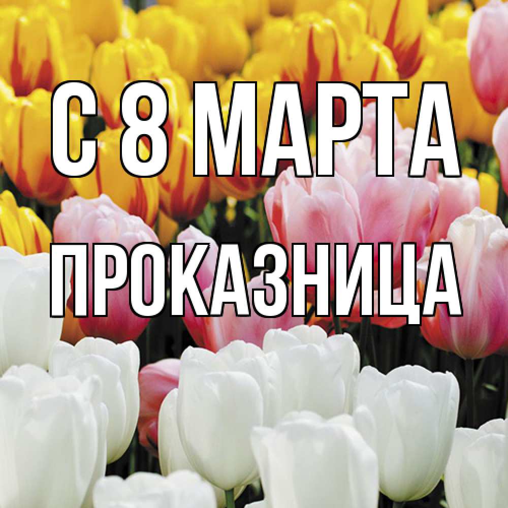 Открытка на каждый день с именем, Проказница C 8 МАРТА разноцветные цветы Прикольная открытка с пожеланием онлайн скачать бесплатно 