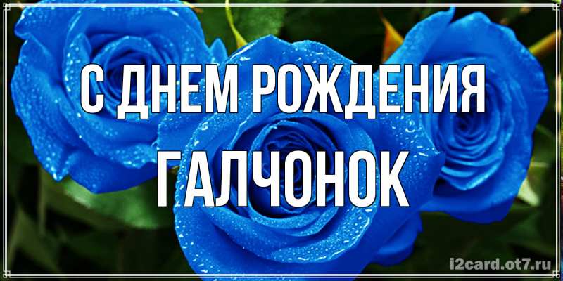 Картинка С днем рождения, галчонок