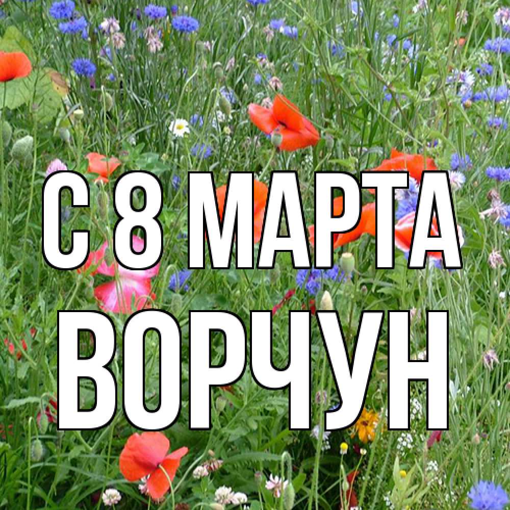 Открытка на каждый день с именем, Ворчун C 8 МАРТА международный женский день 4 Прикольная открытка с пожеланием онлайн скачать бесплатно 