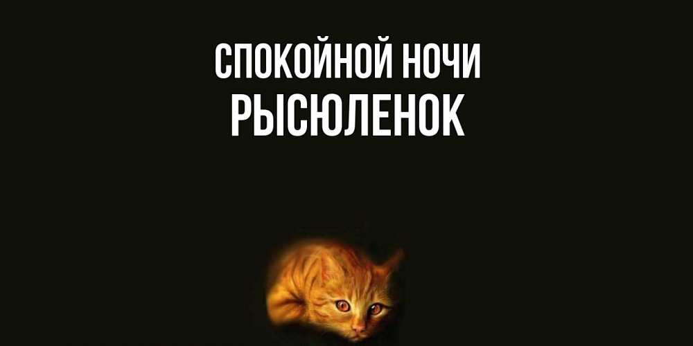 Открытка на каждый день с именем, Рысюленок Спокойной ночи кот Прикольная открытка с пожеланием онлайн скачать бесплатно 