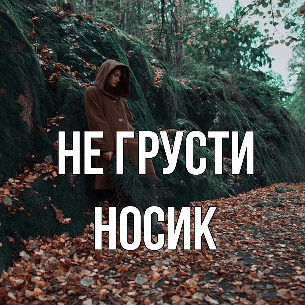 Открытка на каждый день с именем, Hосик Не грусти осенний лес Прикольная открытка с пожеланием онлайн скачать бесплатно 