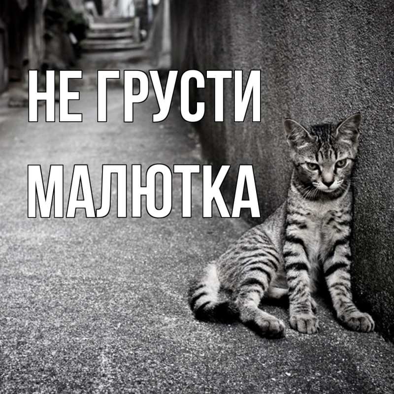 Открытка с именем, малютка, Не грусти