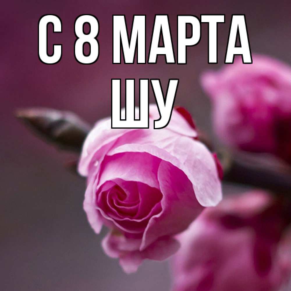 Открытка на каждый день с именем, Шу C 8 МАРТА весна Прикольная открытка с пожеланием онлайн скачать бесплатно 