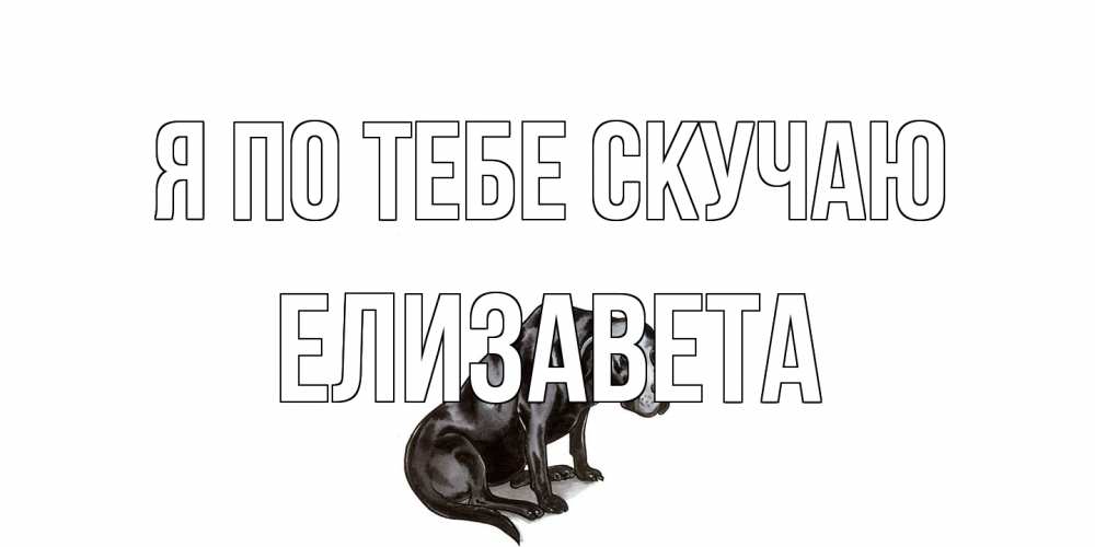 Открытка на каждый день с именем, Елизавета Я по тебе скучаю я по тебе скучаю открытка с собакой Прикольная открытка с пожеланием онлайн скачать бесплатно 