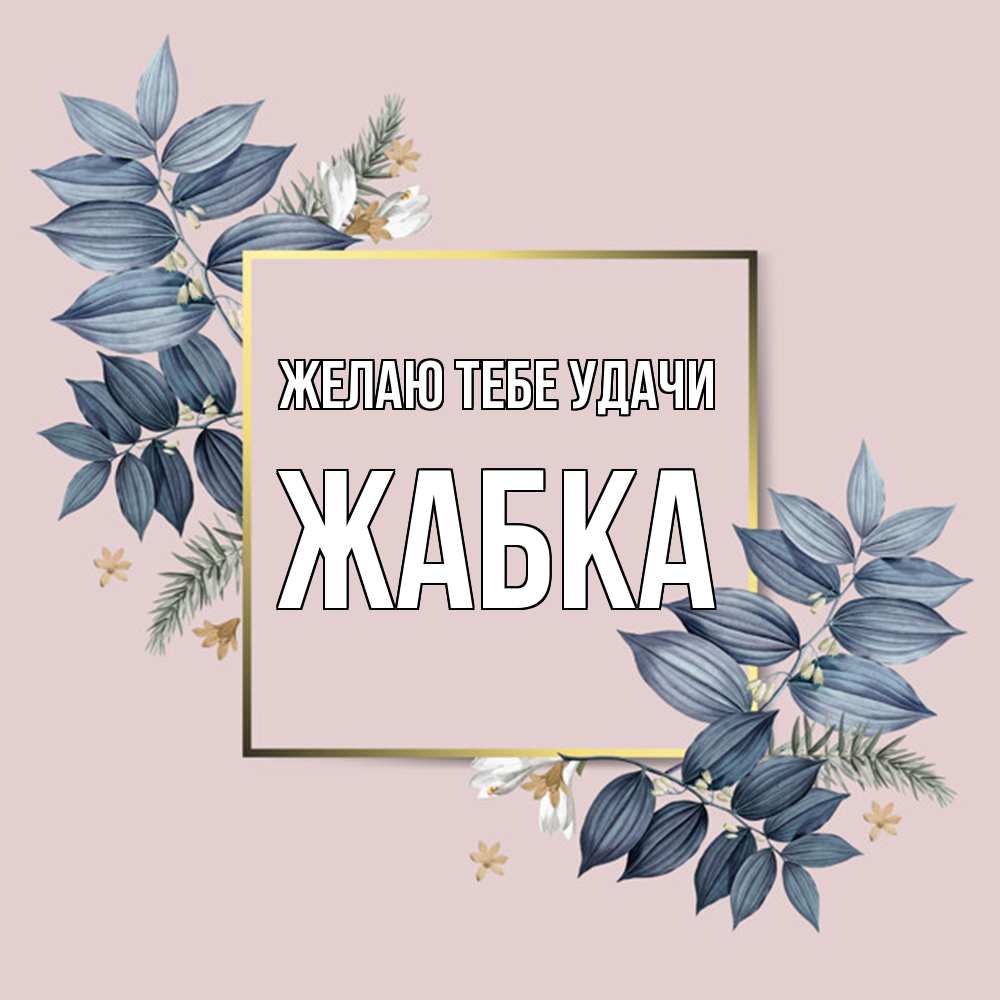 Открытка на каждый день с именем, Жабка Желаю тебе удачи листья цветов Прикольная открытка с пожеланием онлайн скачать бесплатно 