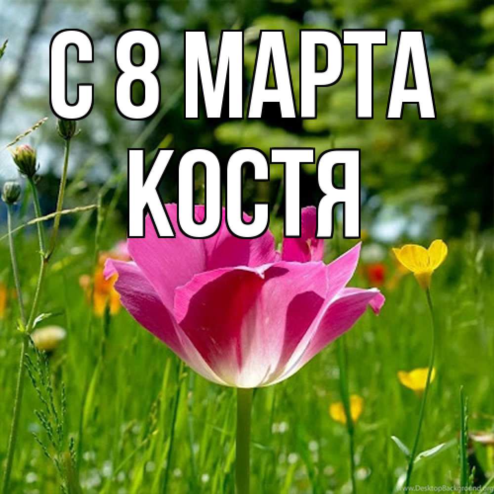 Открытка на каждый день с именем, Костя C 8 МАРТА полевые цветы Прикольная открытка с пожеланием онлайн скачать бесплатно 