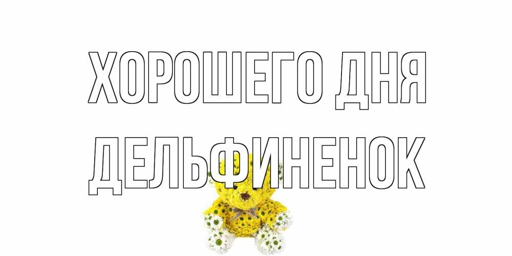 Открытка на каждый день с именем, дельфиненок Хорошего дня позитивного настроения вам Прикольная открытка с пожеланием онлайн скачать бесплатно 