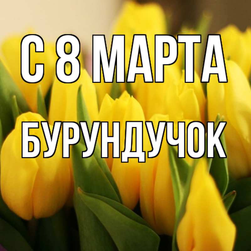 Картинка C 8 МАРТА, бурундучок