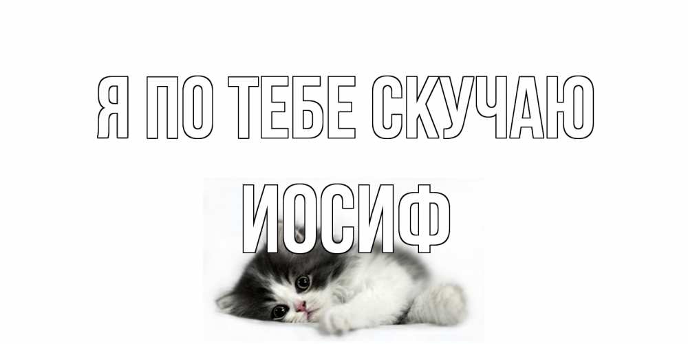 Открытка на каждый день с именем, Иосиф Я по тебе скучаю кот, скука Прикольная открытка с пожеланием онлайн скачать бесплатно 