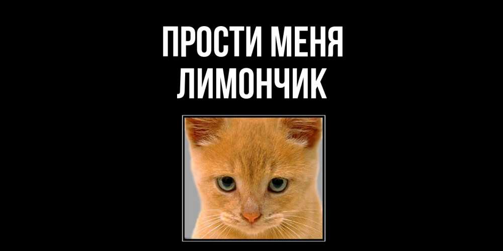 Открытка на каждый день с именем, лимончик Прости меня рыжий грустный кот просит прощения Прикольная открытка с пожеланием онлайн скачать бесплатно 