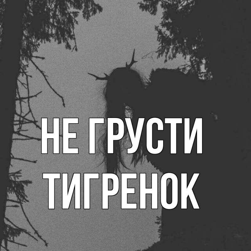 Картинка Не грусти, Тигpенок