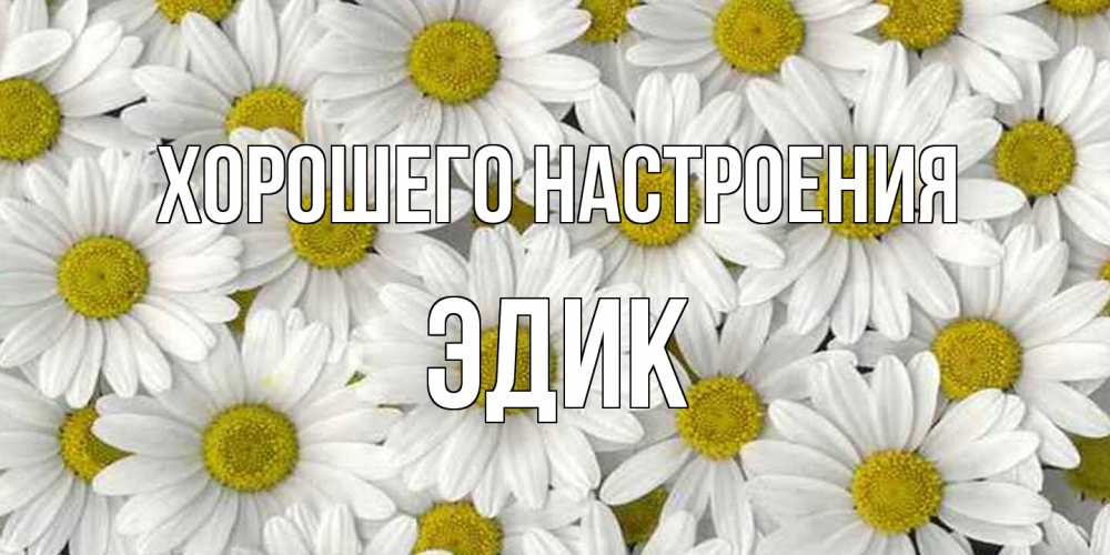 Открытка на каждый день с именем, Эдик Хорошего настроения поляна ромашек Прикольная открытка с пожеланием онлайн скачать бесплатно 