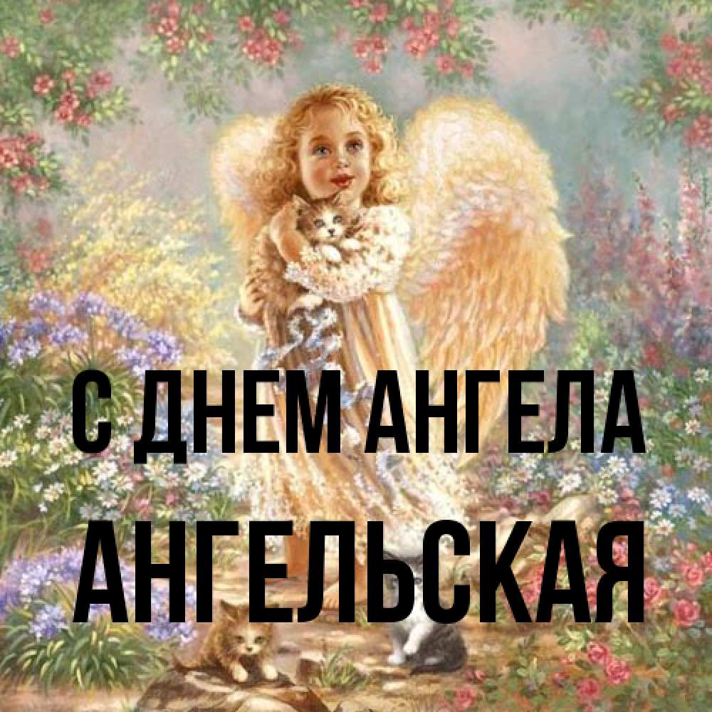 Открытка на каждый день с именем, Ангельская С днем ангела держит котенка Прикольная открытка с пожеланием онлайн скачать бесплатно 