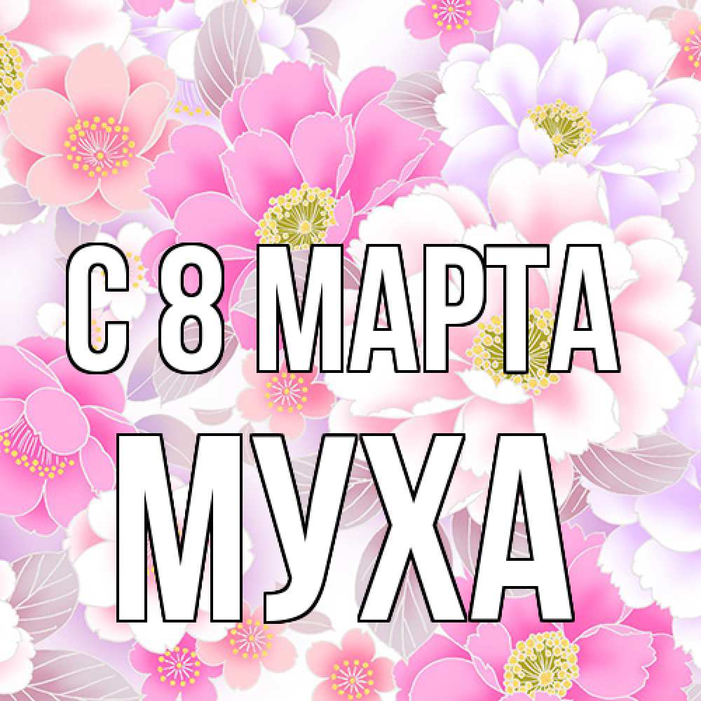 Открытка на каждый день с именем, Муха C 8 МАРТА для женщин Прикольная открытка с пожеланием онлайн скачать бесплатно 