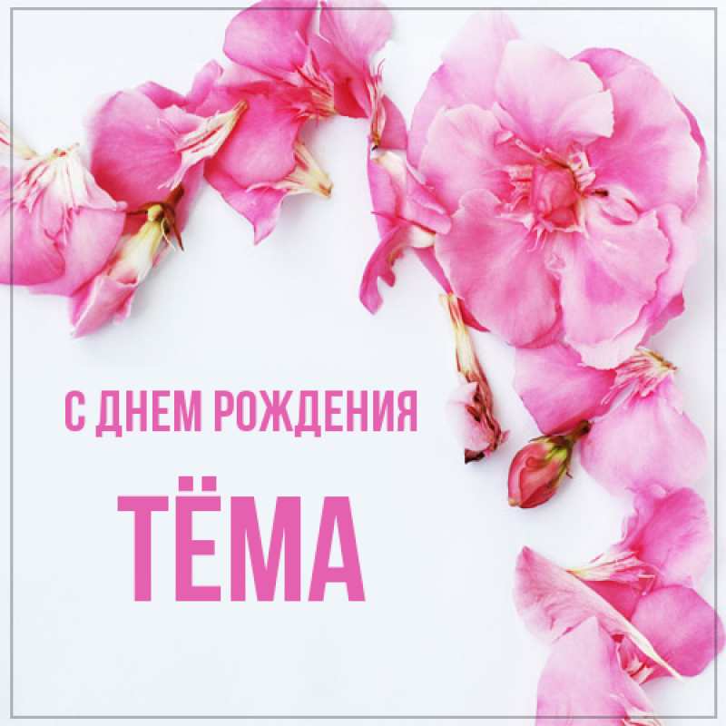 Картинка С днем рождения, Тёма