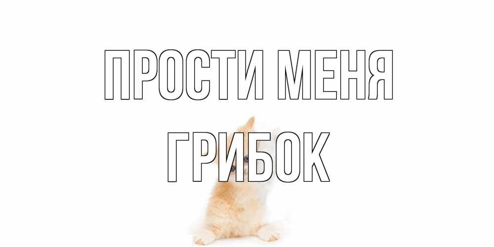Открытка на каждый день с именем, Грибок Прости меня кот Прикольная открытка с пожеланием онлайн скачать бесплатно 