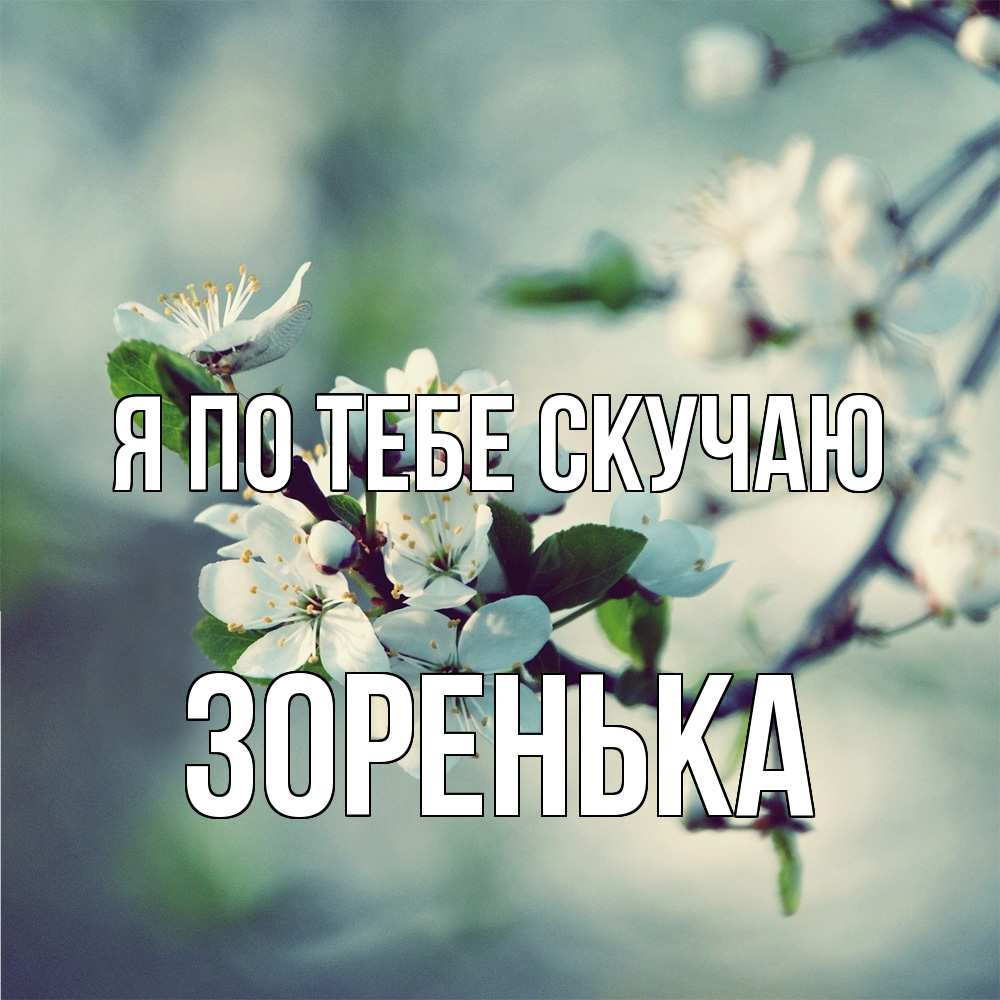 Открытка на каждый день с именем, Зоренька Я по тебе скучаю весна Прикольная открытка с пожеланием онлайн скачать бесплатно 