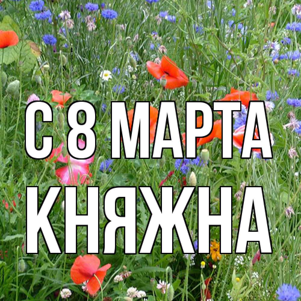 Открытка на каждый день с именем, Княжна C 8 МАРТА международный женский день 4 Прикольная открытка с пожеланием онлайн скачать бесплатно 