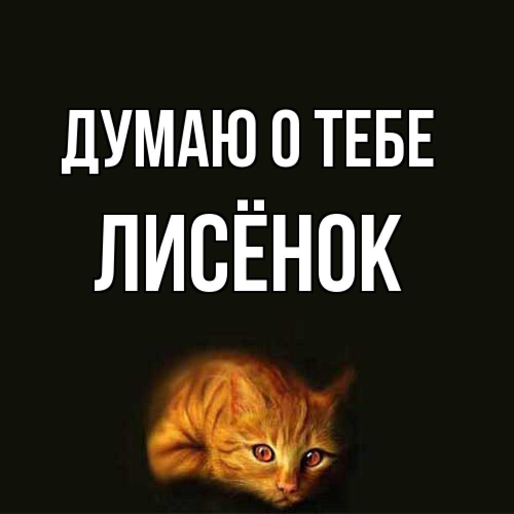 Открытка на каждый день с именем, Лисёнок Думаю о тебе рыжий Прикольная открытка с пожеланием онлайн скачать бесплатно 